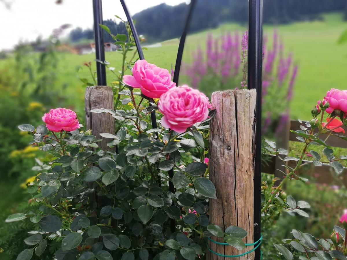 Gastehaus Jochberg Hotel ภายนอก รูปภาพ